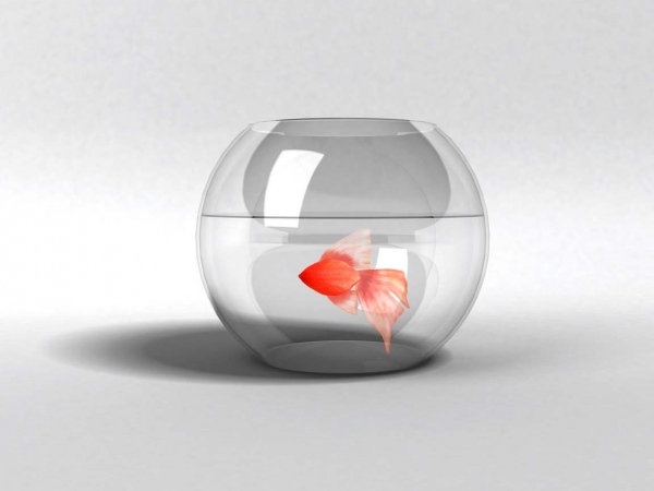 Creation of Fish bowl: Step 7